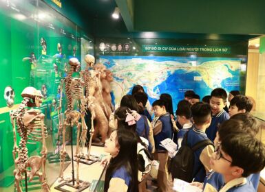 Trải nghiệm học tập liên môn đầy hứng thú tại Bảo tàng Thiên nhiên Việt Nam