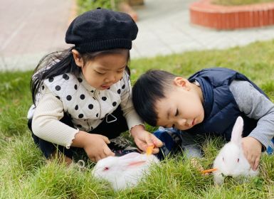 Giáo dục trẻ nhỏ tình yêu thương với các loài động vật