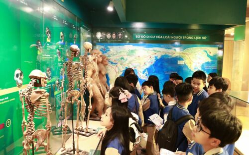 Trải nghiệm học tập liên môn đầy hứng thú tại Bảo tàng Thiên nhiên Việt Nam